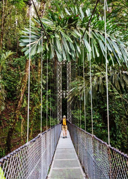 Hiking in green tropical jungle, Costa Rica, Central America